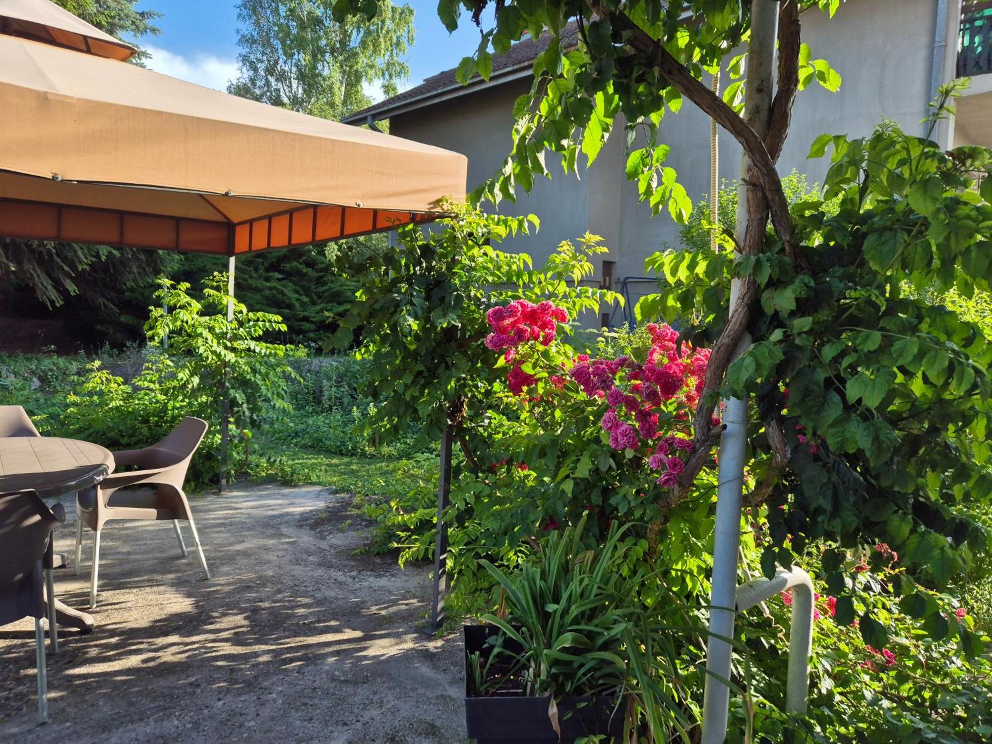 Apartment Dedine Golubac Buitenkant foto