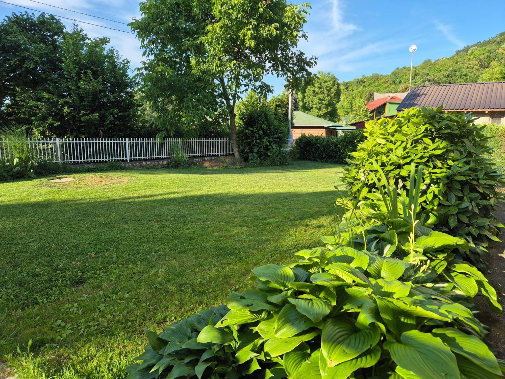 Apartment Dedine Golubac Buitenkant foto
