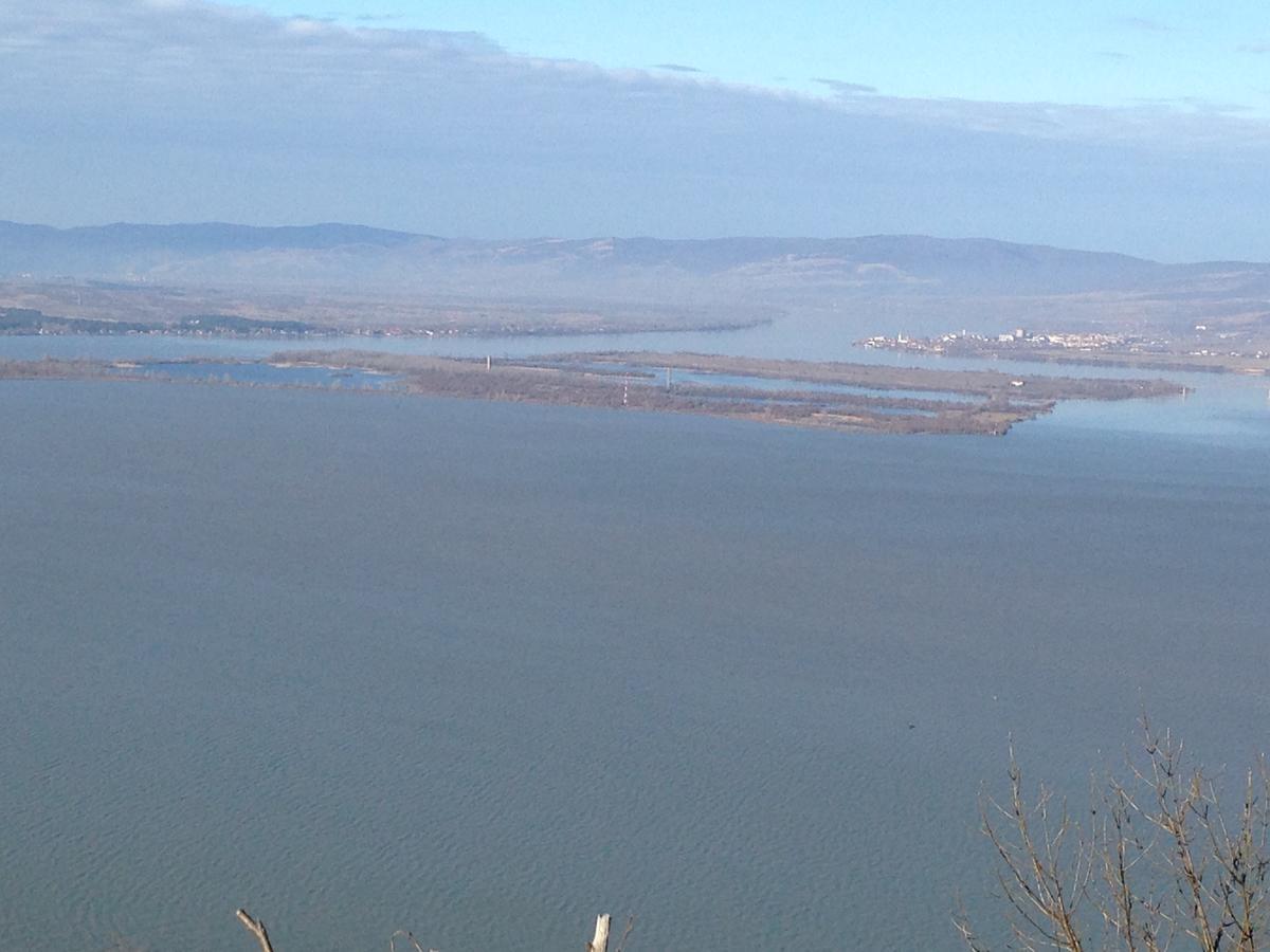 Apartment Dedine Golubac Buitenkant foto