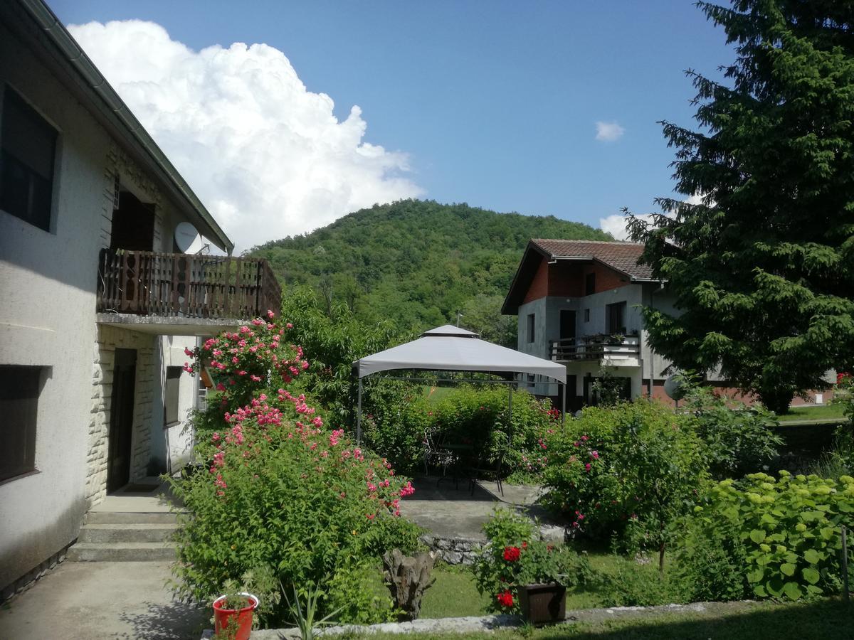 Apartment Dedine Golubac Buitenkant foto