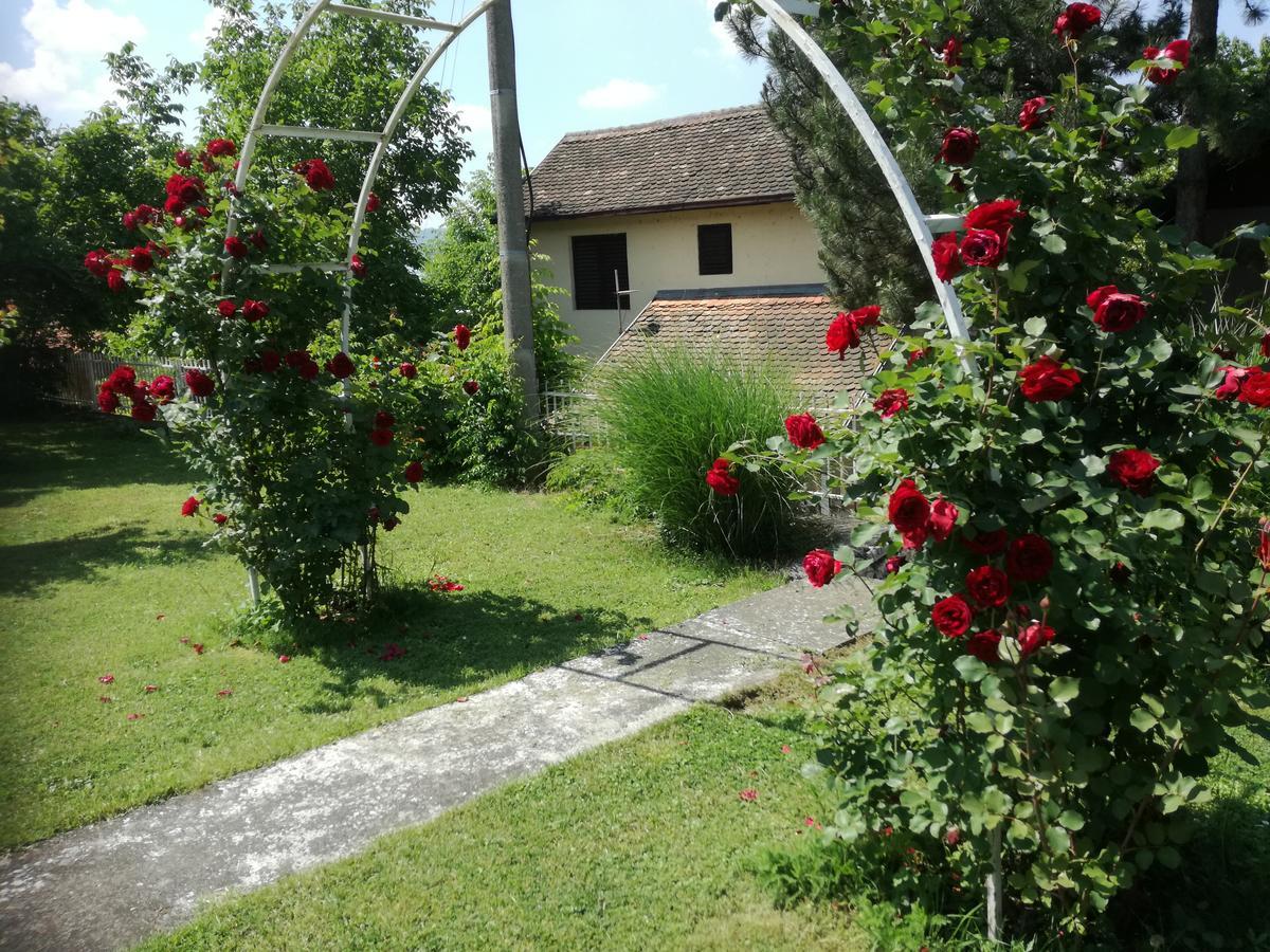 Apartment Dedine Golubac Buitenkant foto