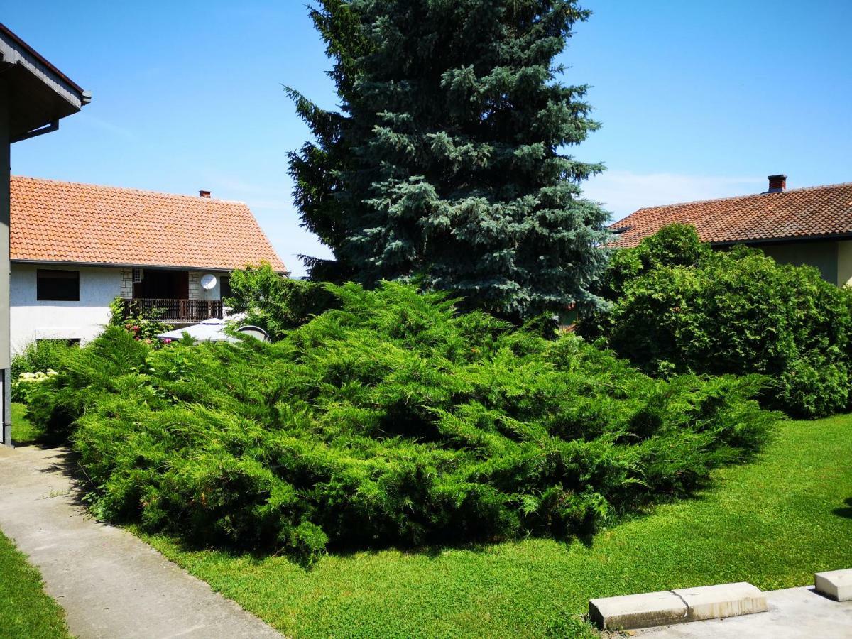 Apartment Dedine Golubac Buitenkant foto
