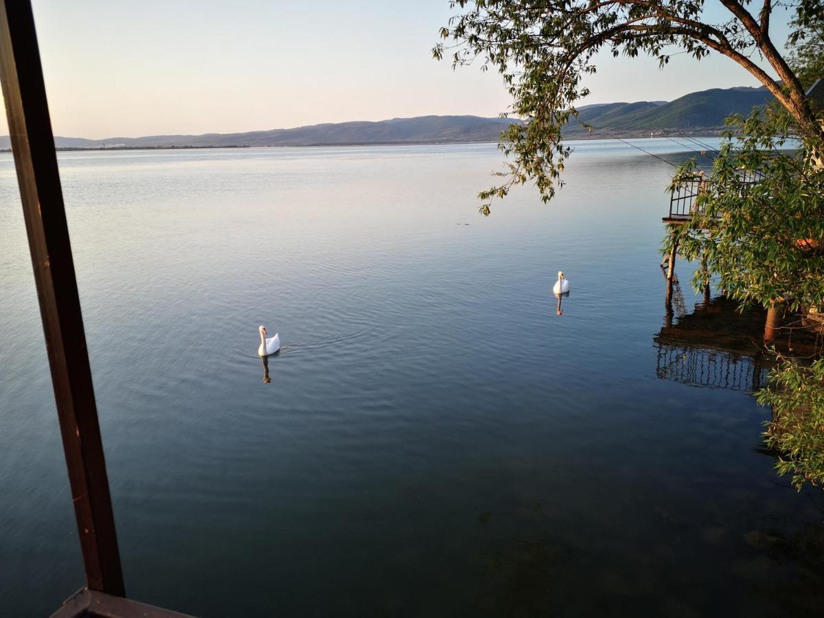 Apartment Dedine Golubac Buitenkant foto