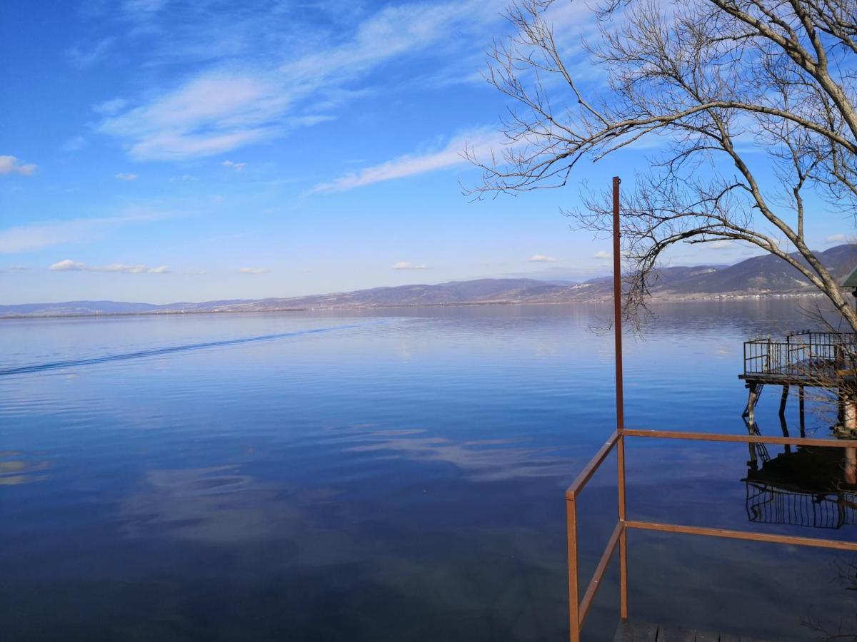 Apartment Dedine Golubac Buitenkant foto